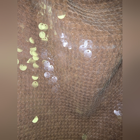 Madewell Sequin Embellished Brown Camisole - Picture 4 of 4